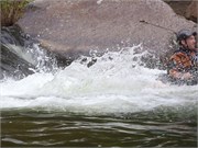Wilsons Creek 164